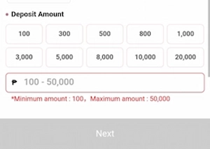 Provide information about the amount you want to deposit